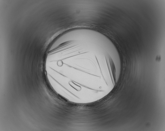 X0000113010348200910081228