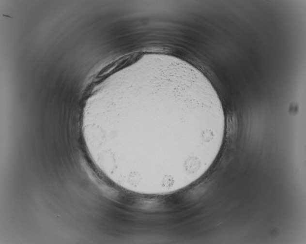 X0000113010349200910081228