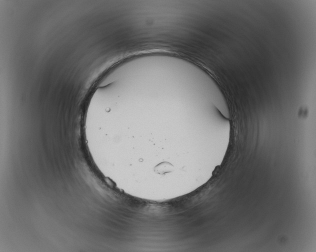 X0000113010350200910081228