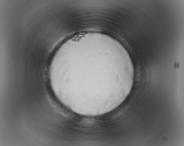 X0000113010351200910081228