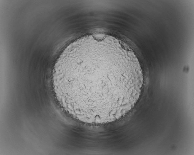 X0000113010353200910081228