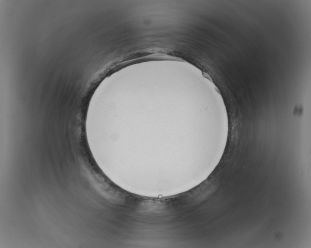 X0000113010354200910081228