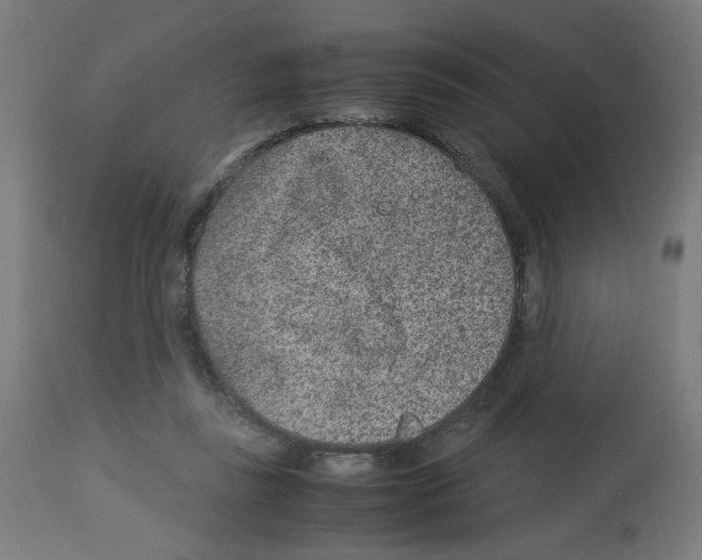 X0000113010355200910081228