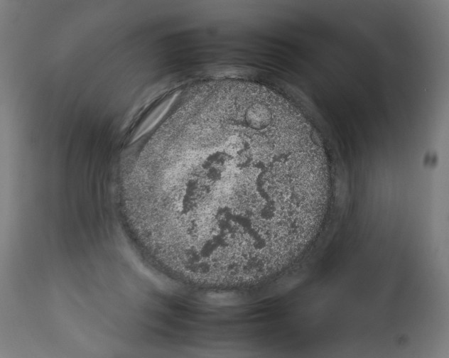 X0000113010357200910081228