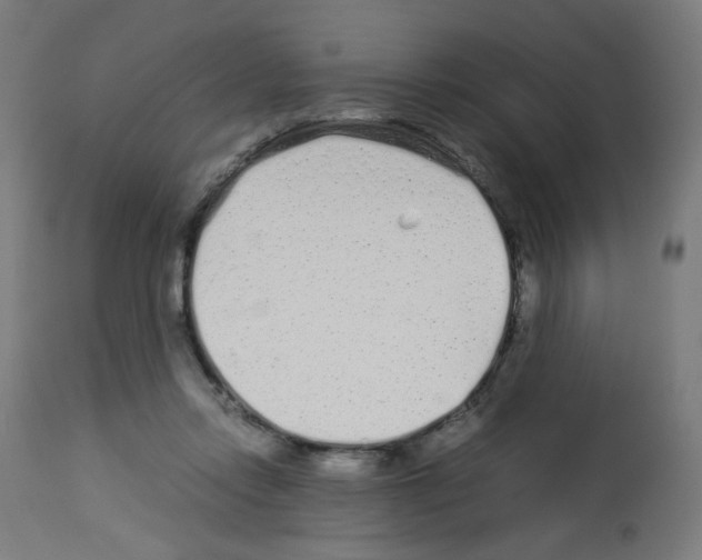 X0000113010358200910081228
