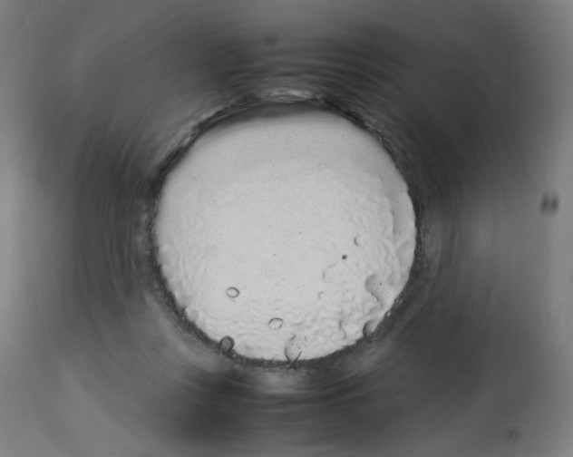 X0000113010359200910081228