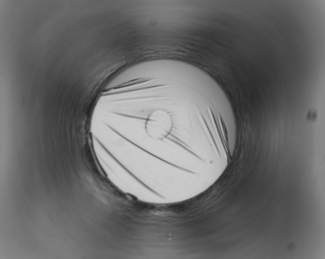 X0000113010360200910081228