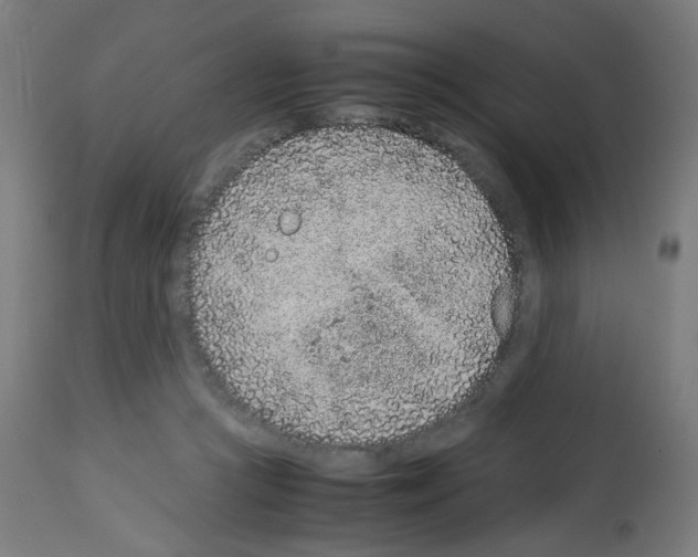 X0000113010361200910081228