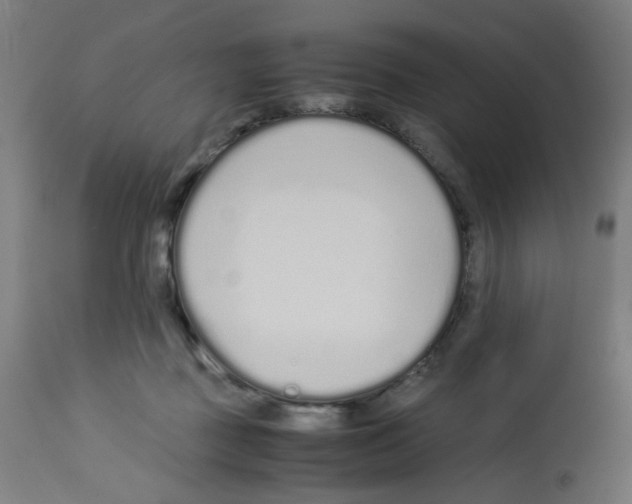 X0000113010363200910081228