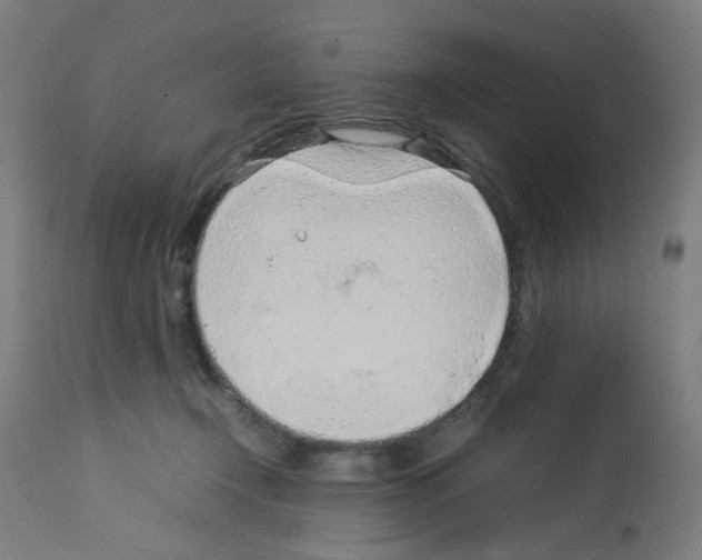 X0000113010366200910081228