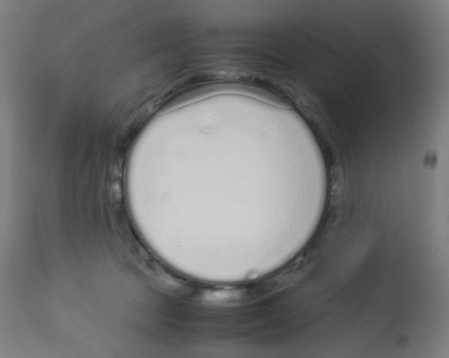X0000113010369200910081228
