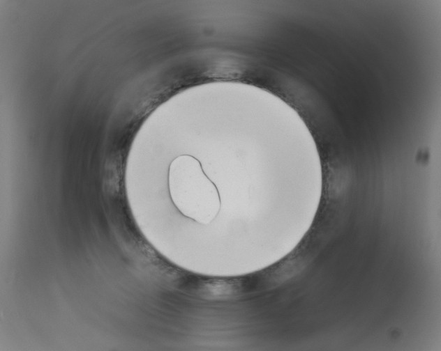 X0000113010370200910081228