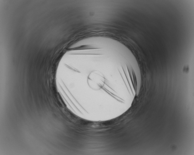 X0000113010372200910081228