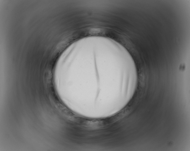 X0000113010375200910081228