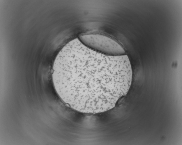 X0000113010376200910081228