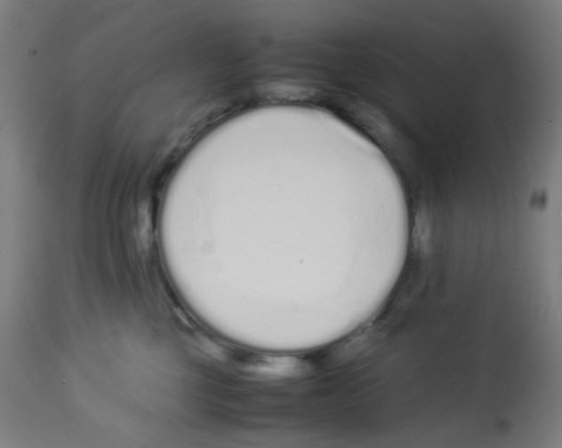 X0000113010377200910081228