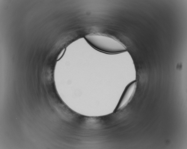 X0000113010380200910081228