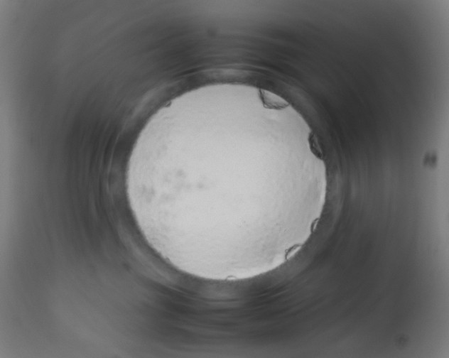 X0000113010381200910081228