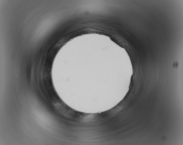 X0000113010382200910081228