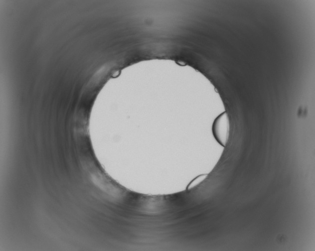 X0000113010384200910081228