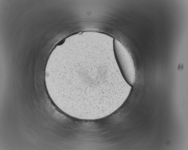 X0000113010385200910081227