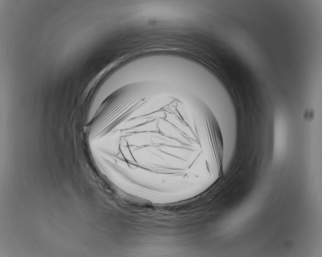 X0000113010387200910081227