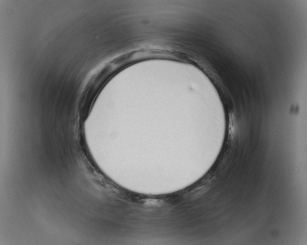 X0000113010388200910081227