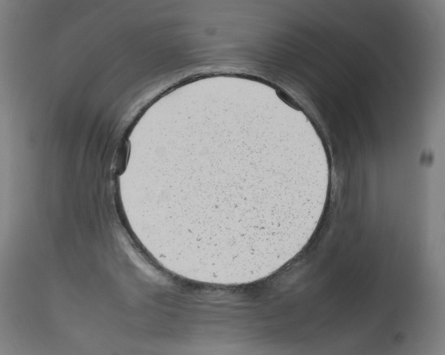X0000113010389200910081227