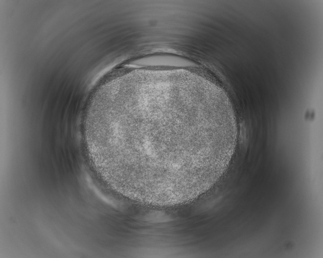 X0000113010390200910081227