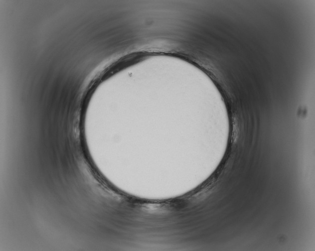 X0000113010392200910081227
