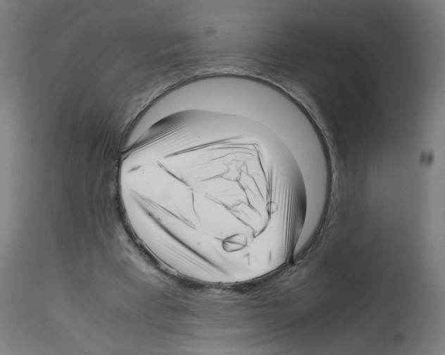 X0000113010393200910081227