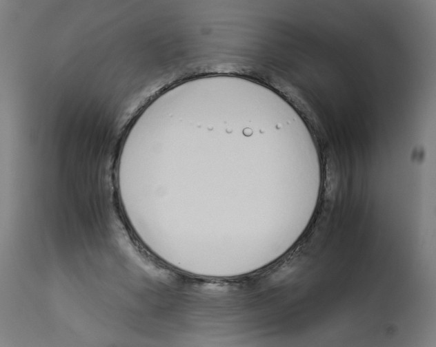 X0000113010394200910081227