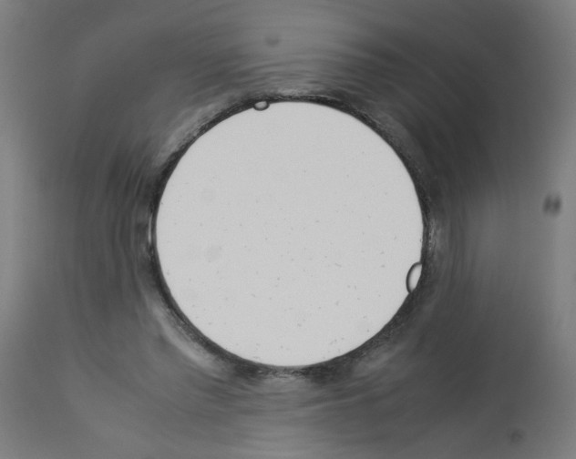 X0000113010397200910081227