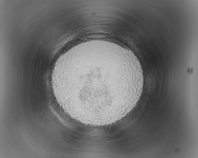 X0000113010398200910081227