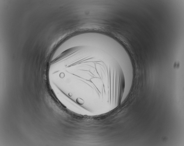 X0000113010399200910081227