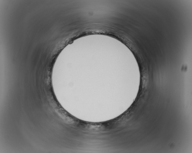 X0000113010401200910081227