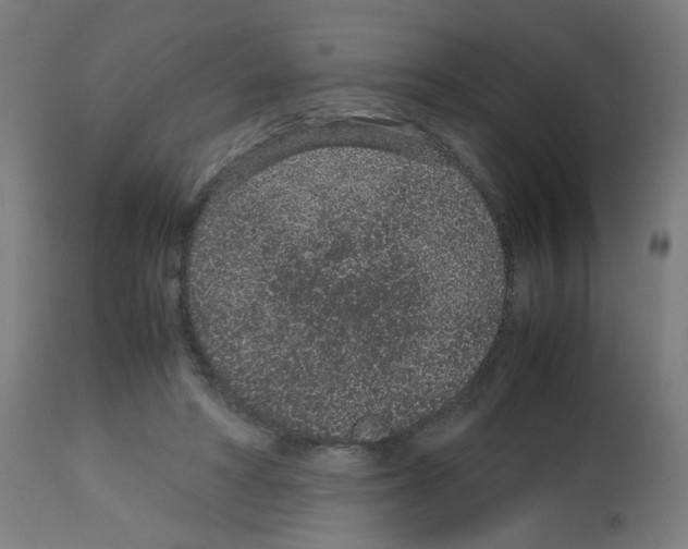 X0000113010402200910081227