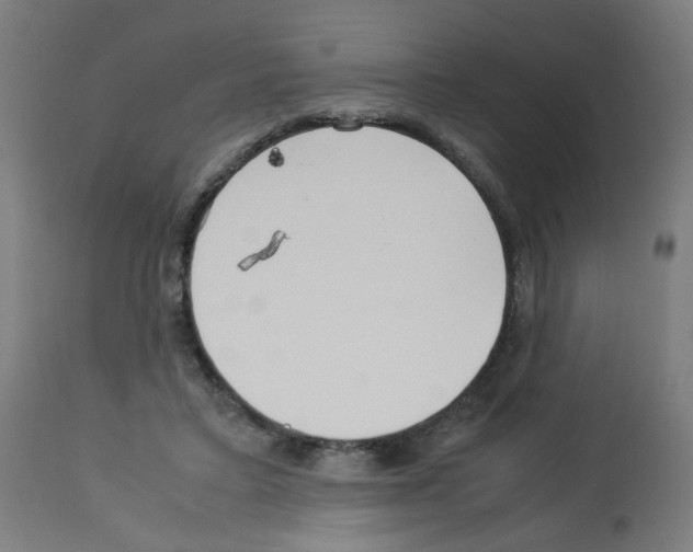 X0000113010403200910081227