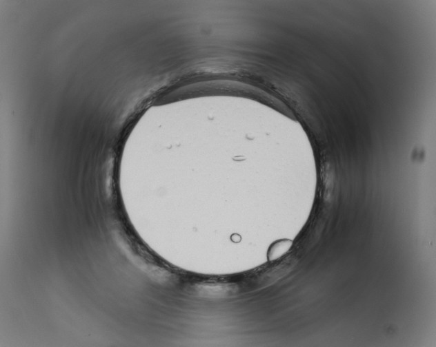 X0000113010404200910081227