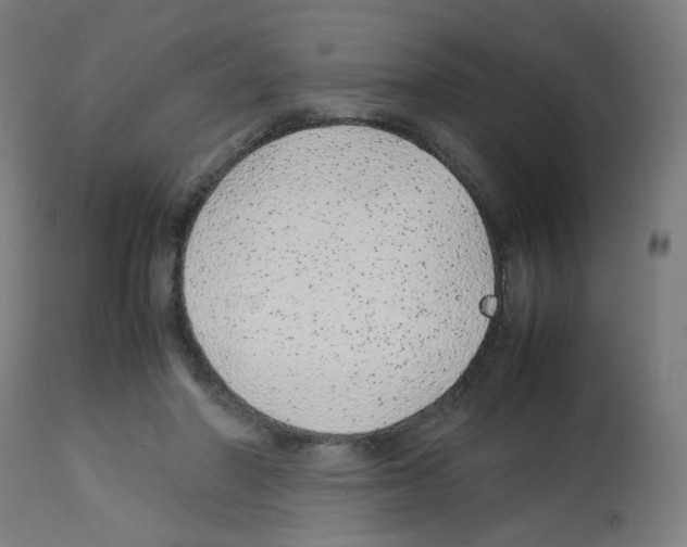 X0000113010406200910081227