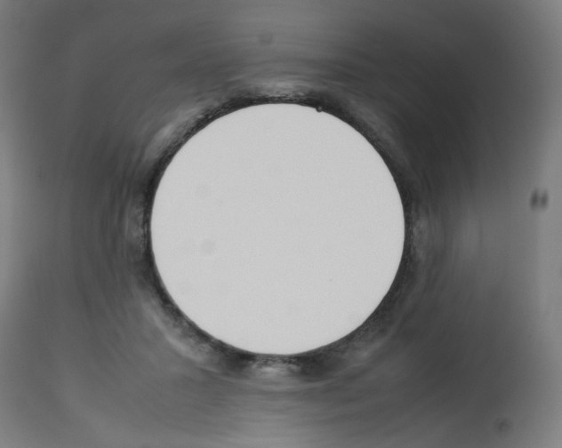 X0000113010407200910081227