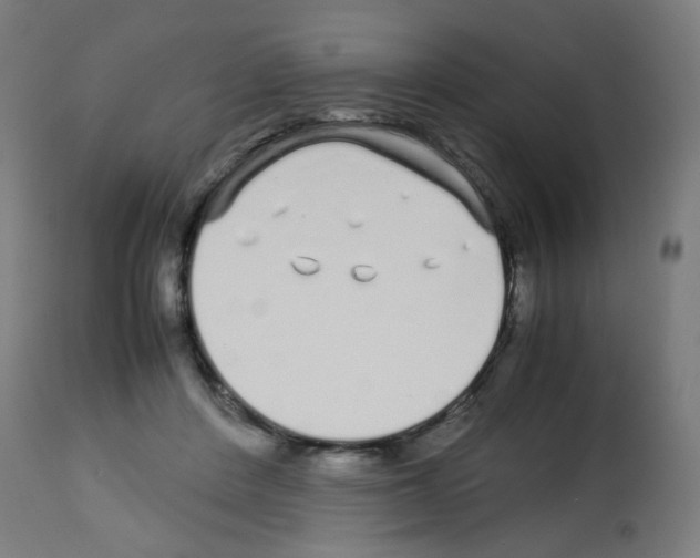 X0000113010408200910081227