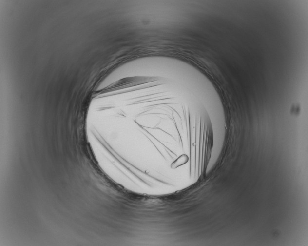 X0000113010409200910081227