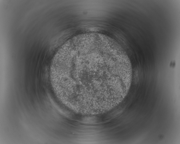 X0000113010410200910081227