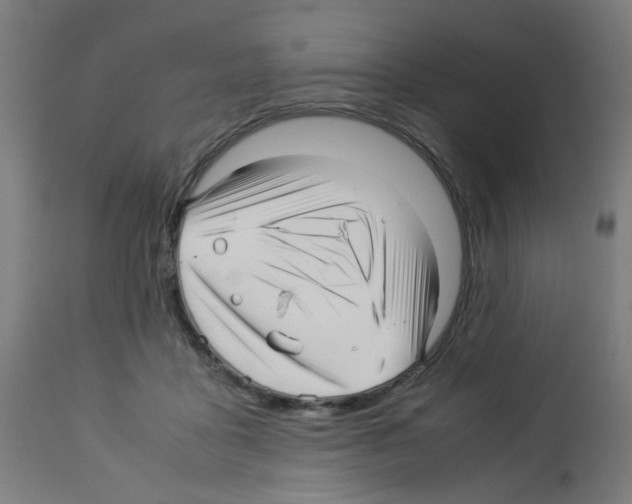 X0000113010411200910081227