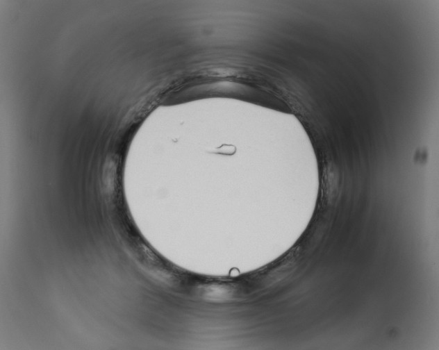 X0000113010412200910081227