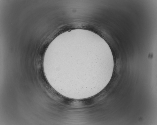 X0000113010413200910081227