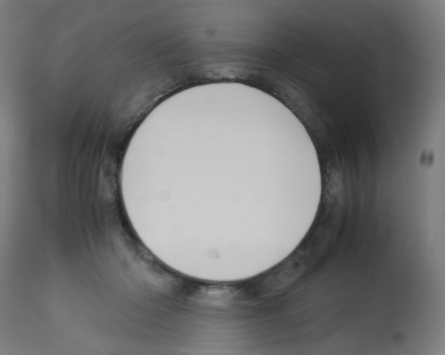 X0000113010414200910081227