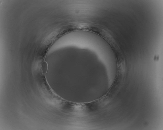 X0000113010415200910081227