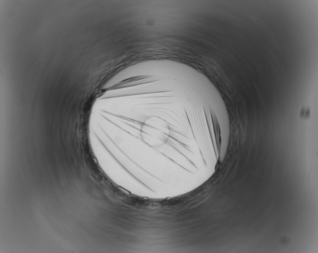 X0000113010416200910081227